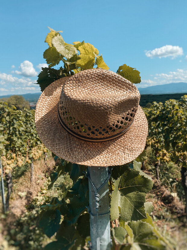 Events im Winzerhof TAUSENDWEILER in Bahlingen am Kaiserstuhl